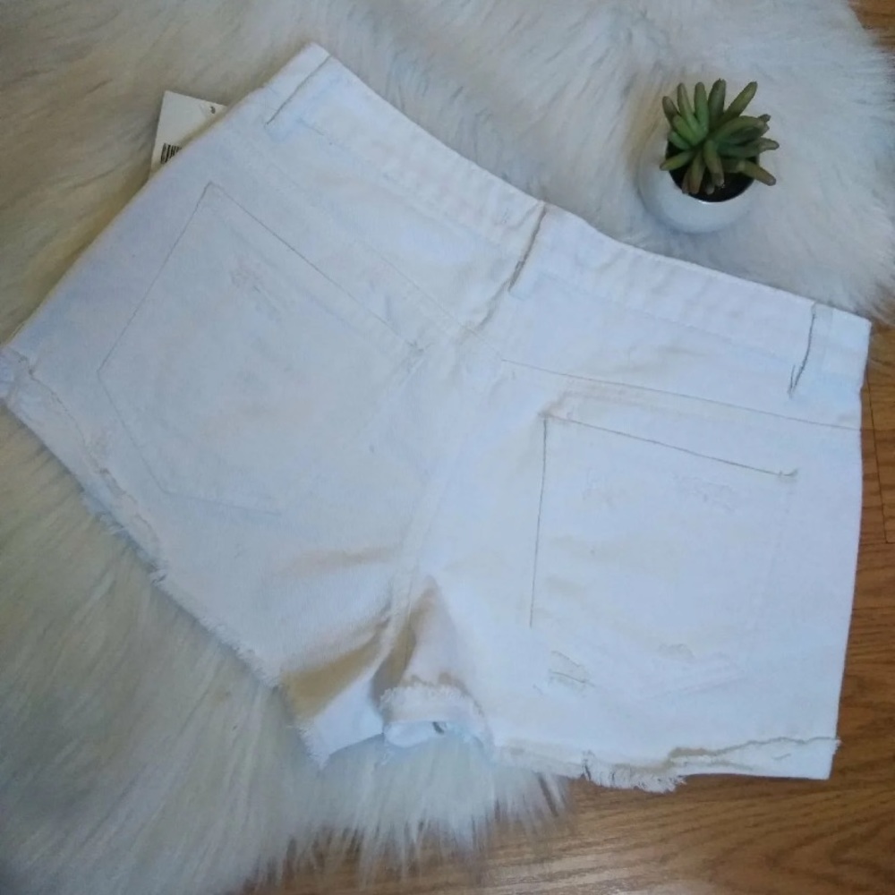 Shorts - Picture 3 of 5